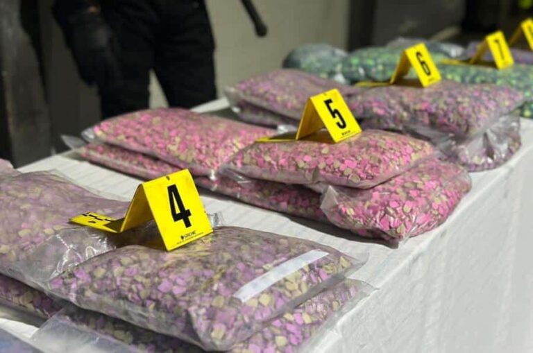 طنجة المتوسط.. كمية الأقراص المهلوسة المحجوزة على متن شاحنة للنقل الدولي فاق 188 ألف قرص