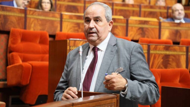 ميداوي: 93 في المائة نسبة الاستجابة لطلبات الاستفادة من منح التعليم العالي سنة 2024