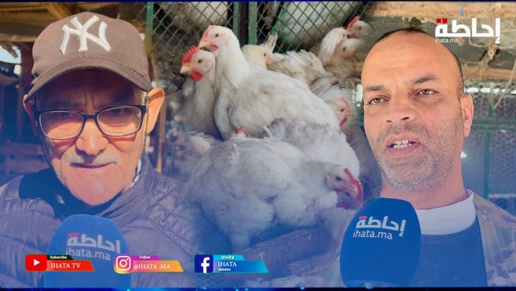 كازا.. ارتفاع أسعار الدواجن تلهب جيوب المواطنين وتشل حركة السوق (فيديو)
