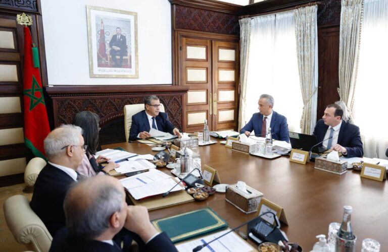 زيدان: المشاريع المصادق عليها في الدورة الـ7 للجنة الوطنية للاستثمارات تعكس الجاذبية المتنامية للمغرب