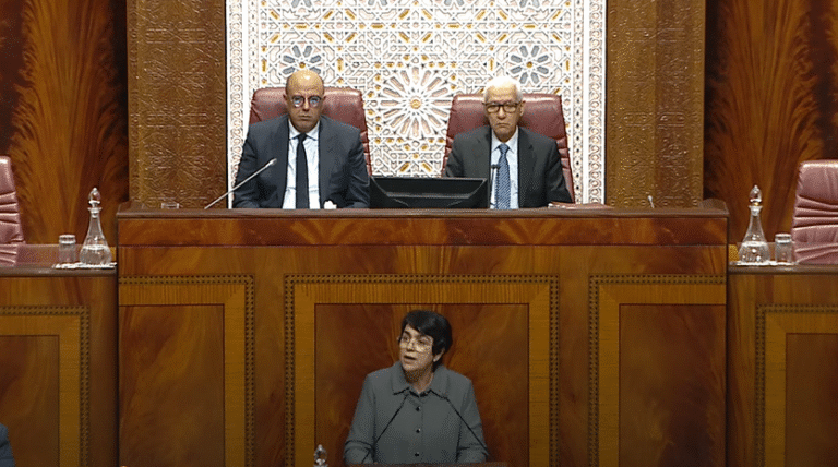 العدوي: تنفيذ الخطط الاستراتيجية وبرامج محاربة الأمية لم يحقق الأثر المتوخى منه للقضاء على هذه الآفة