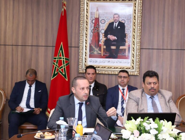 "المستشارين" يصادق بالإجماع على مشروع قانون يتعلق بمدونة الأدوية والصيدلة