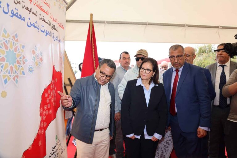 مبادرة "الحوت بثمن معقول".. أزيد من 4000 طن من الأسماك عبر حوالي 1000 نقطة بيع