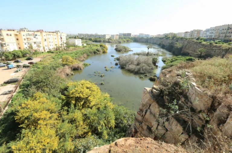 مشروع بيئي طموح بكازا: تحويل ضاية الألفة إلى منتزه إيكولوجي حضري