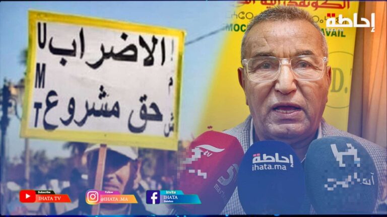 لطفي: مشروع قانون الإضراب يهدد الحركة النقابية ويخالف الدستور (فيديو)