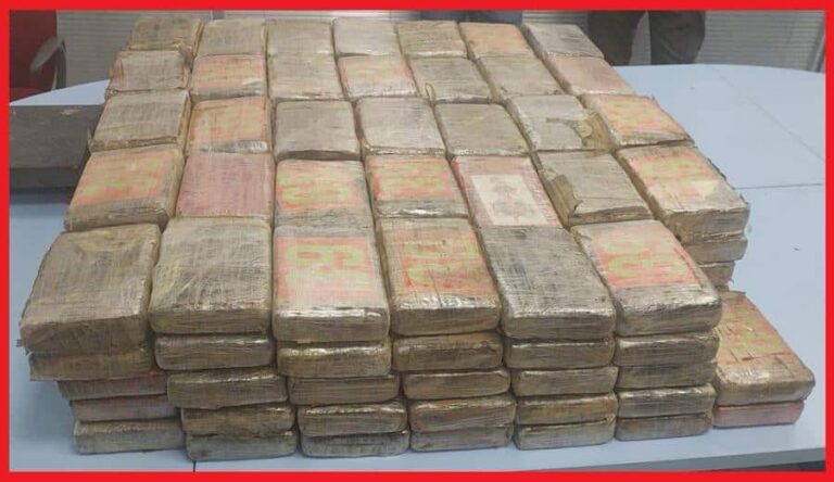 الكركارات.. إجهاض محاولة للتهريب الدولي للمخدرات وحجز أكثر من 183 كيلوغرام من مخدر الكوكايين