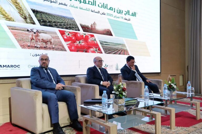 الأمن الغذائي.. البواري يبرز الدور الأساسي للهيئات البيمهنية الفلاحية