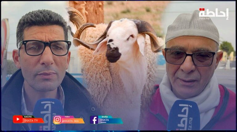 قرار ملكي حكيم يريح المغاربة من أعباء عيد الأضحى في ظل الغلاء والجفاف (فيديو)