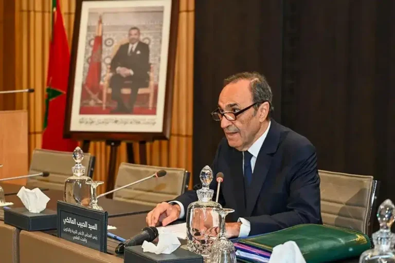 الحبيب المالكي، رئيس المجلس الأعلى للتربية والتكوين والبحث العلمي.