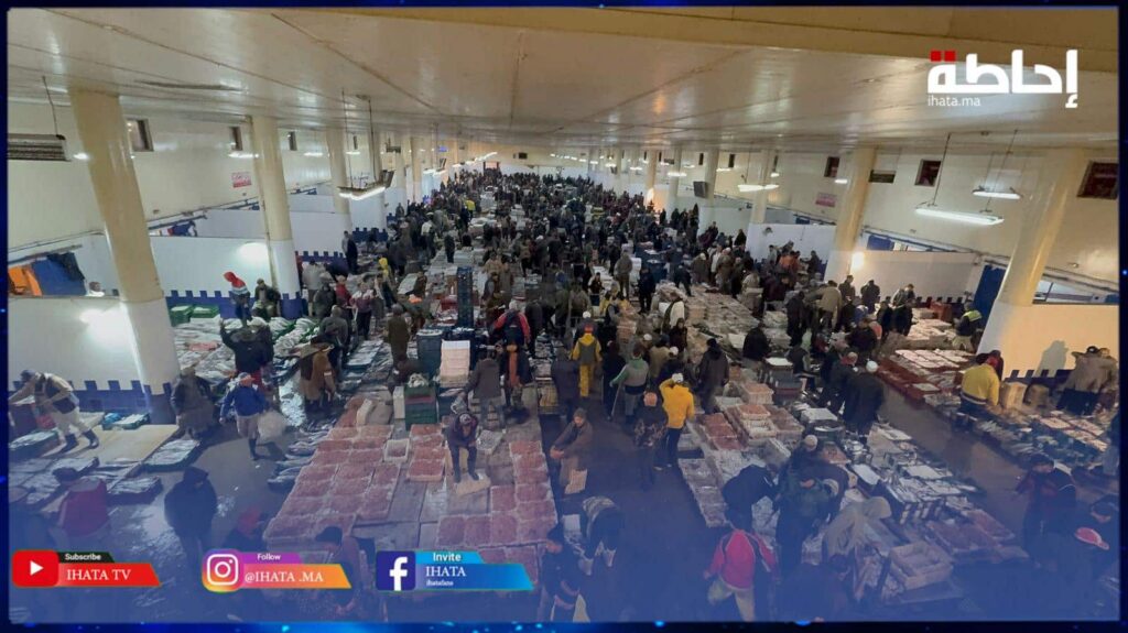 الهراويين.. ارتفاع قياسي في كمية الأسماك بسوق الجملة خلال اليوم الأول من رمضان