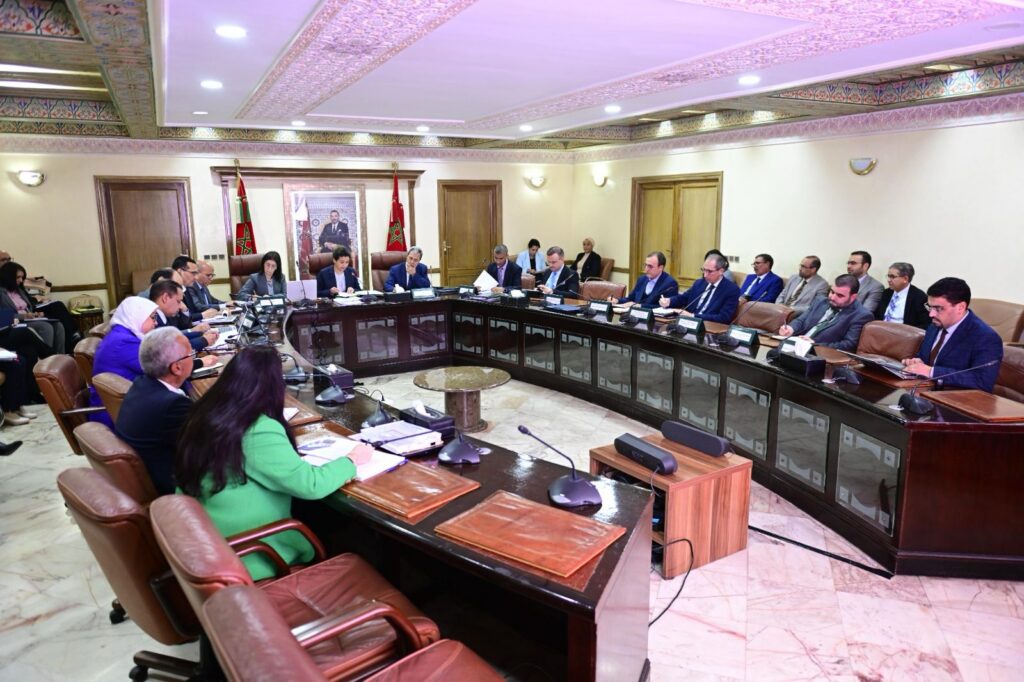 بنعلي: الهيدروكربورات والمعادن مفتاح السيادة الطاقية للمغرب