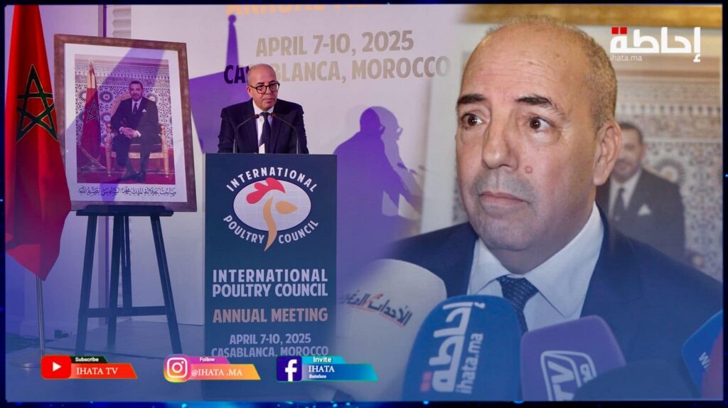 البواري: قطاع الدواجن في المغرب يساهم في الأمن الغذائي ويوفر 500 ألف فرصة عمل (فيديو)