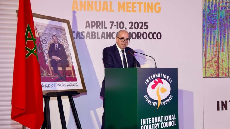 الدار البيضاء.. افتتاح فعاليات الدورة الـ20 لمؤتمر المجلس الدولي للدواجن