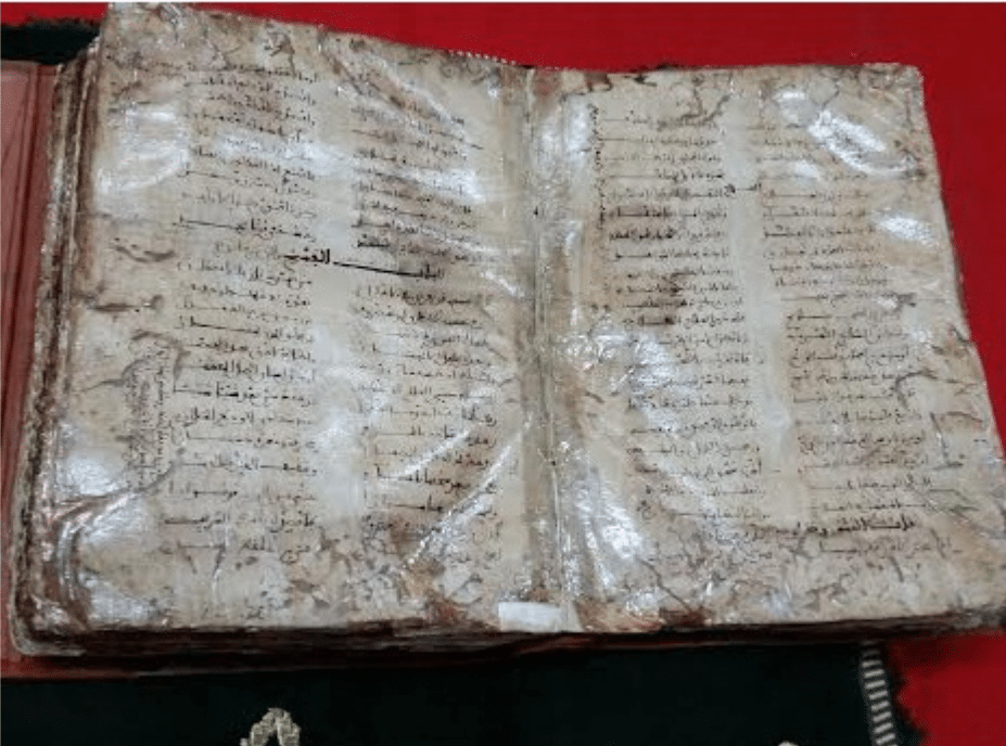 إدراج "الأرجوزة الطبية" لابن طفيل في سجل"ذاكرة العالم" لليونسكو بمبادرة من المغرب