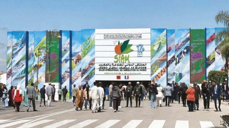 الملتقى الدولي للفلاحة بالمغرب يختتم فعالياته على وقع النجاح