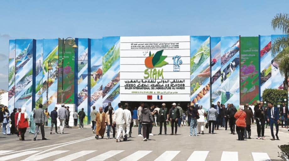 الملتقى الدولي للفلاحة بالمغرب يختتم فعالياته على وقع النجاح