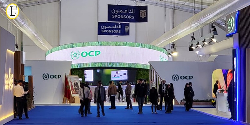 بالأرقام.. "OCP" يكرس ريادته في التمكين المجتمعي من مكناس إلى العالم