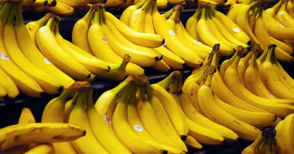 دراسة: الموز يتفوق على الملح في ضبط ضغط الدم