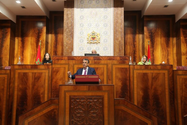 المسطرة الجنائية.. وهبي يكشف بدائل العقوبات السجنية
