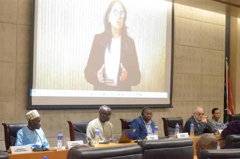 بانغول.. بوعياش تدعو إلى عدالة تعويضية شاملة لجبر أضرار إفريقيا