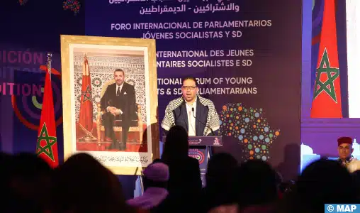 المغرب بقيادة الملك يضطلع "بدور محوري" في دعم القضية الفلسطينية