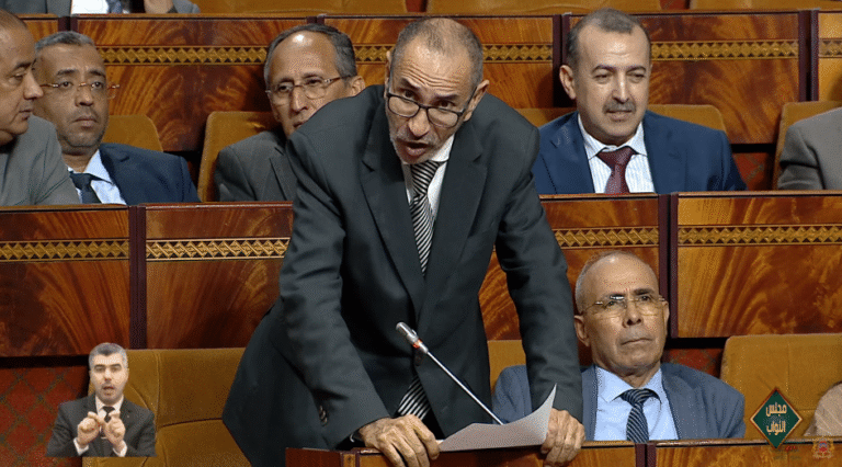 اتحادي لوزير الصحة: الحكومة فشلت في تدبير ملف الصحة العقلية