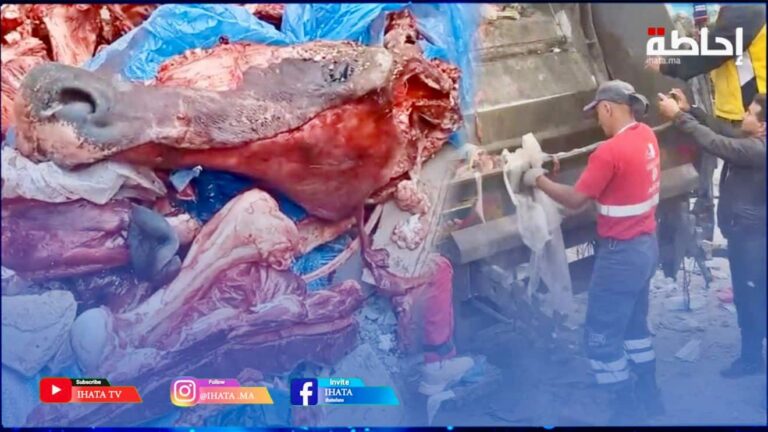 الدار البيضاء .. صدمة بعد العثور على رؤوس حمير وبغال في مطرح نفايات (فيديو)