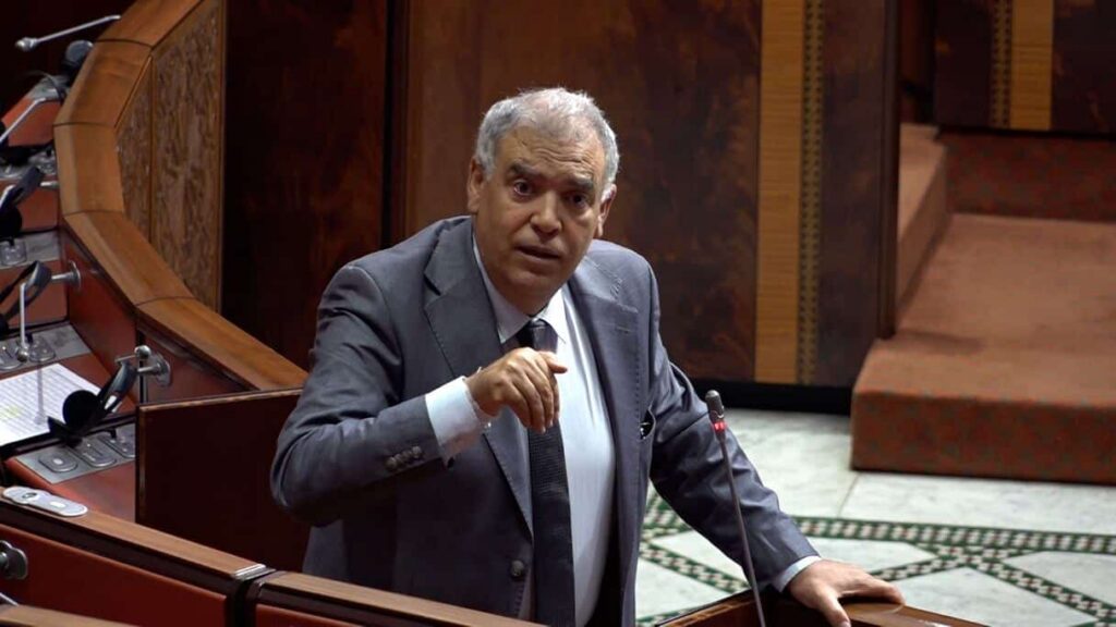 لفتيت يكشف رقما كبيرا لتمويل مراكز إيواء وتعقيم الكلاب الضالة في المغرب