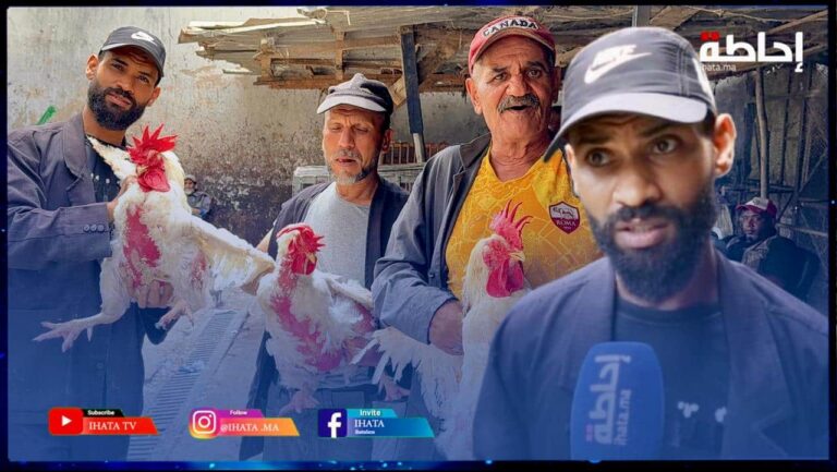 مهنيون بالدار الببضاء يشتكون من ارتفاع أسعار الدجاج و"مارادونا" الأرخص (فيديو)