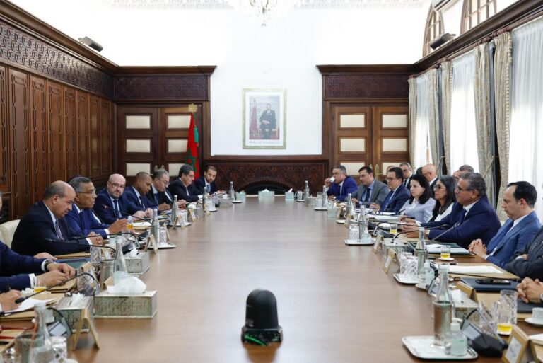 مشروع قانون المالية لسنة 2026 يحدد أربع أولويات كبرى