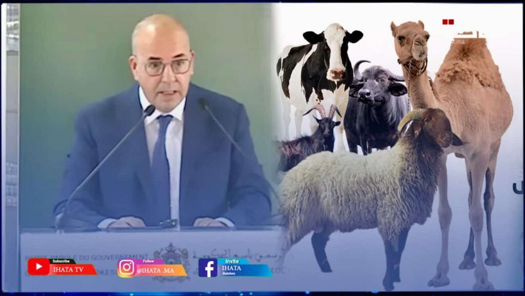 البواري يبرز فعالية المبادرات الملكية السامية الرامية للحفاظ على الثروة الحيوانية خلال سنوات الجفاف (فيديو)