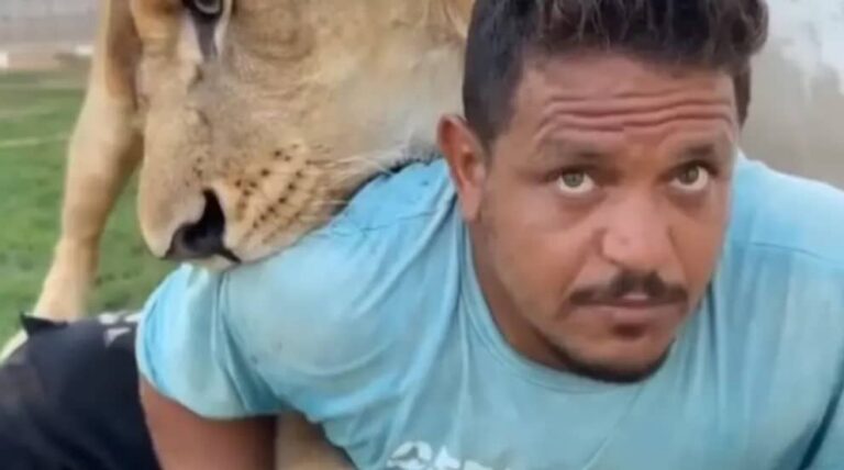 ليبي يطلق أسدا على عامل أجنبي بغرض السخرية