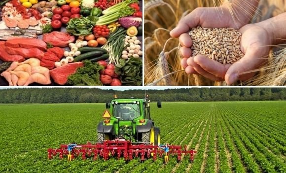 الأمن الغذائي .. المغرب ضمن قائمة الأفضل 50 دولة عالميا والأول قاريا