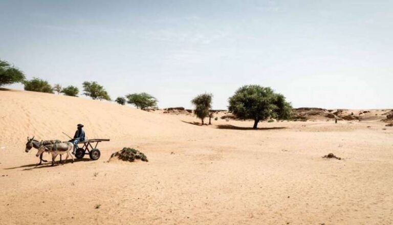 ارتفاع حرارة الأرض يعيد تشكيل خريطة الأمطار في إفريقيا خلال العقود القادمة