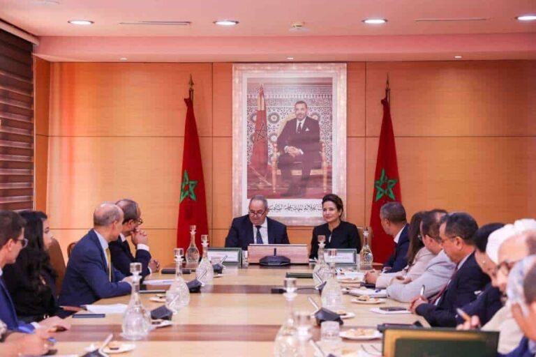 منح لطلبة الدكتوراه في مجالي الانتقال الطاقي والتنمية المستدامة