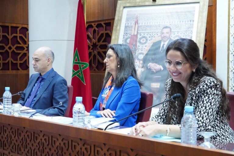 لجنة المالية والتنمية الاقتصادية