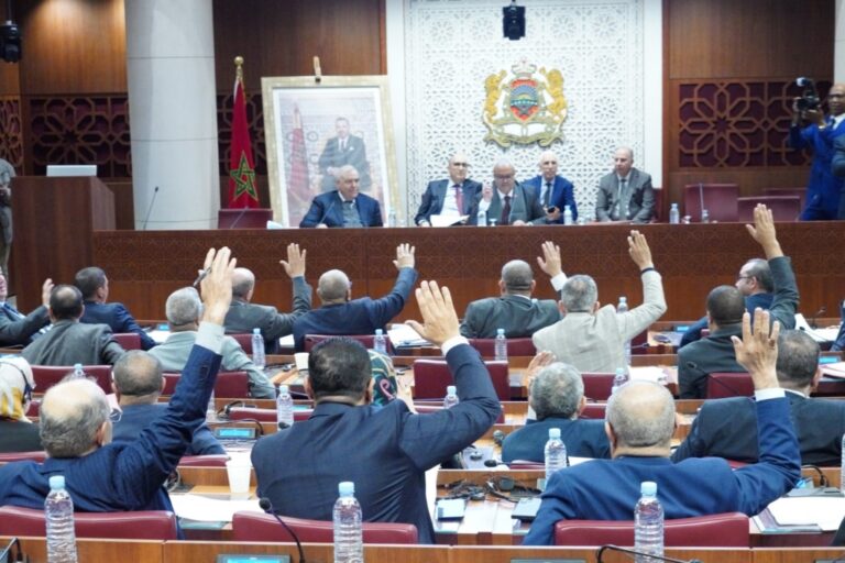 لجنة الداخلية بمجلس النواب تصادق على مشروعي قانون يتعلقان ب الأحزاب السياسية واللوائح الانتخابية