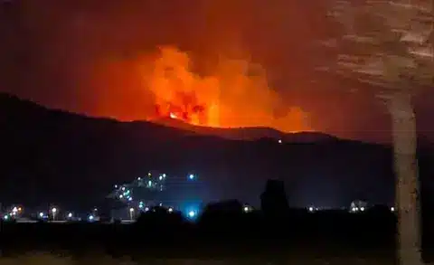 اندلاع حرائق يثير الاستنفار بالجزائر