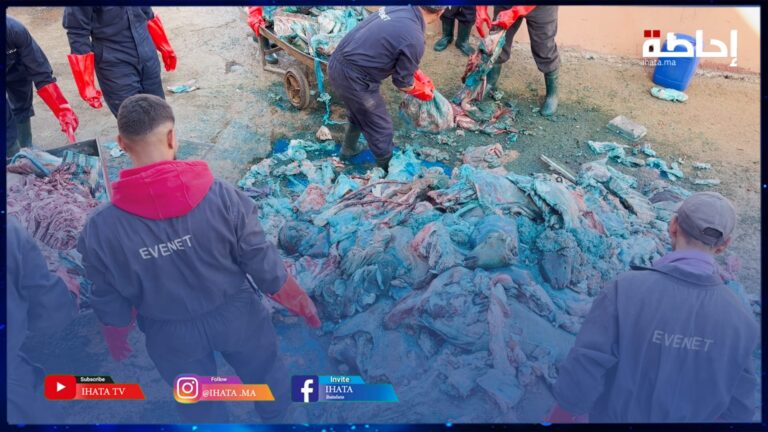 مراكش.. السلطات تداهم محلا للجزارة وتحجز كمية مهمة من اللحوم الفاسدة (فيديو)
