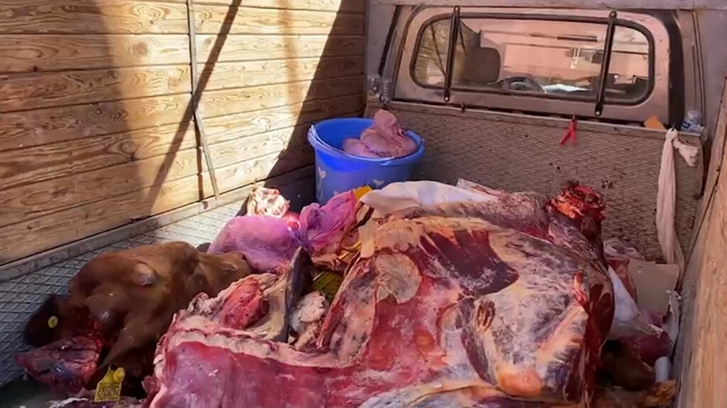 ابتدائية مراكش تعقد جلسة جديدة لمحاكمة جرازين متهمين في قضية نقل وبيع لحوم فاسدة