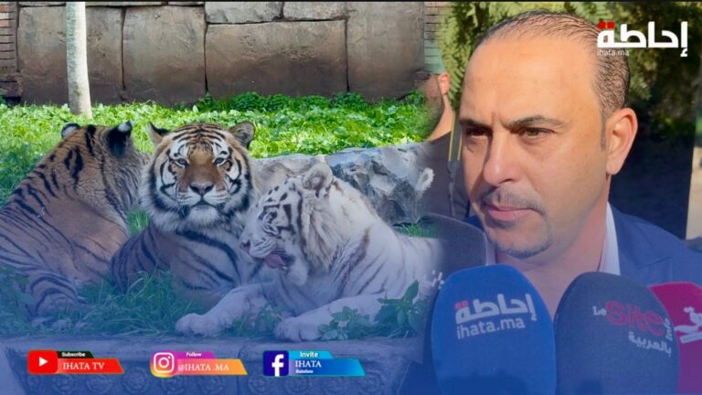 مدير حديقة عين السبع يكشف أسعار الدخول ويؤكد وجود أكثر من 500 حيوان من 100 نوع