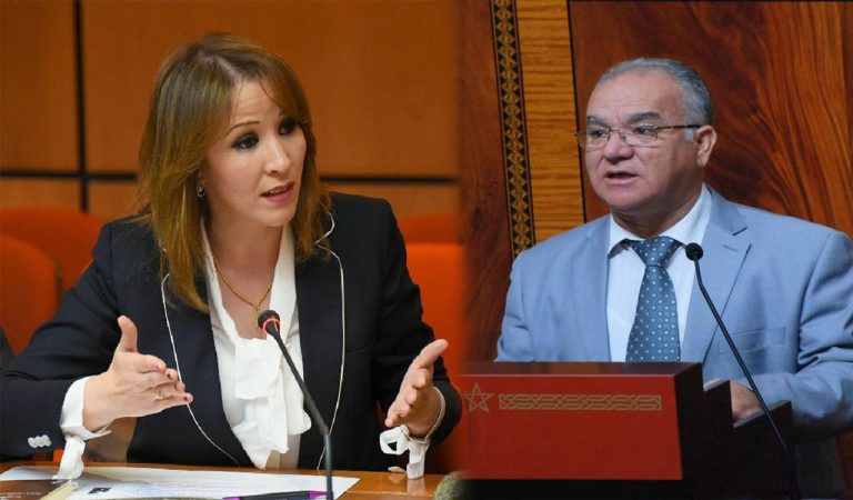 وزيرة إعداد التراب الوطني والتعمير والإسكان وسياسة المدينة، فاطمة الزهراء المنصوري،