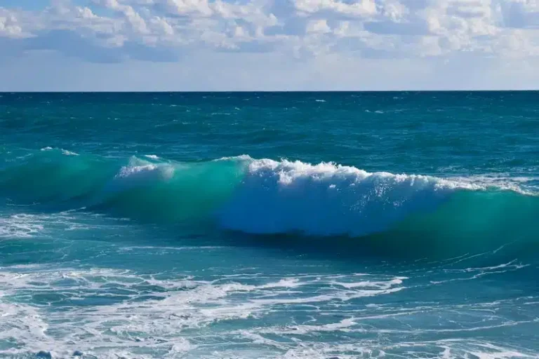 طاقة الأمواج.. مجلة أمريكية تبرز التقدم التكنولوجي الهام في المغرب