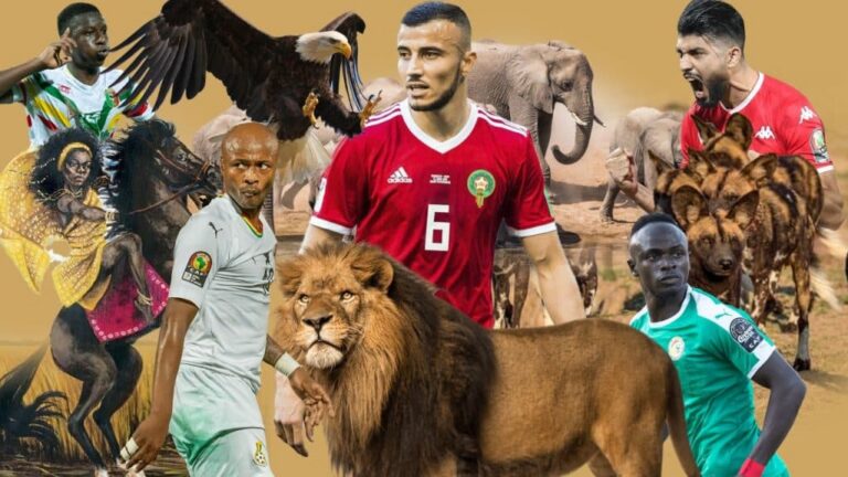 المنتخبات الإفريقية