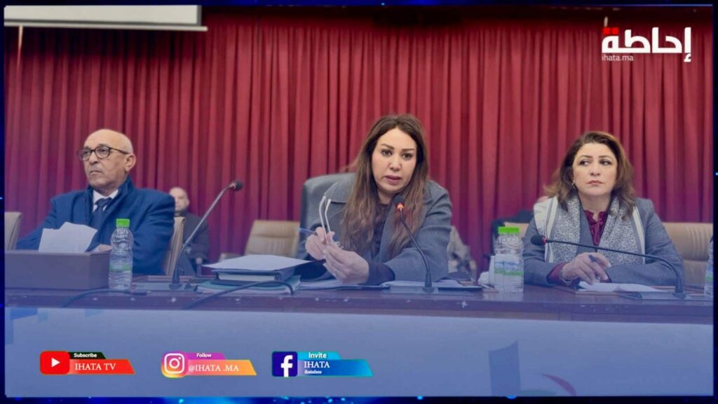 الرميلي تنتقد منطق تبخيس عمل المجلس وتكشف خبايا ملفات ثقيلة (فيديو)