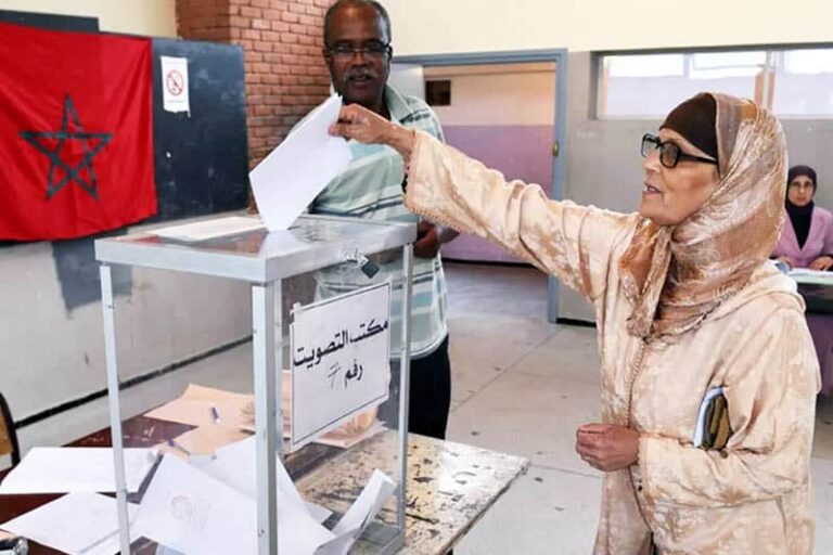 المنظومة الانتخابية دائرة الحي الحسني
