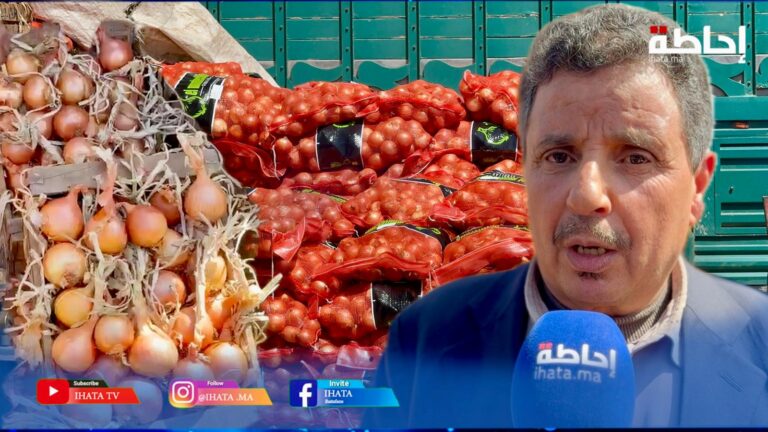 سوق الجملة.. وكيل يكشف خفايا تجارة البصل ويفسر أسباب ارتفاع الأسعار