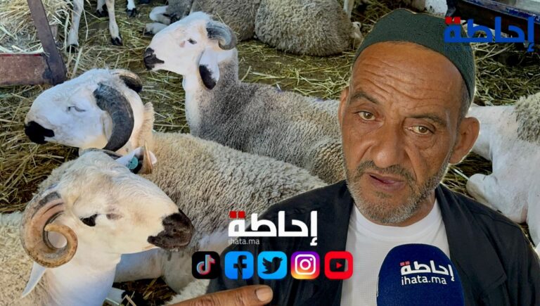 أسعار الأضاحي .. مهني يطمئن المواطنين قبل العيد | إحاطة