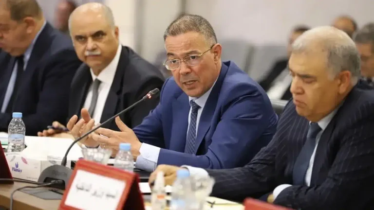 دعم الحكومة لمهنيي النقل والقطيع الوطني.. لقجع يدعو لخفض الأسعار وتشديد المراقبة