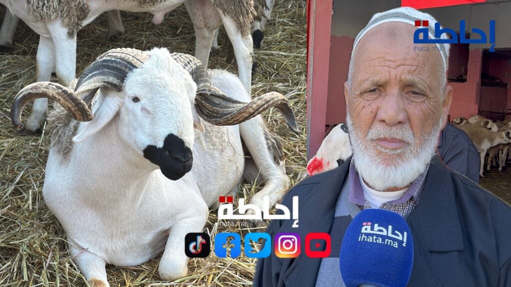 أسعار الأضاحي بالدار البيضاء تتراوح بين 70 و75 درهما للكيلوغرام | إحاطة